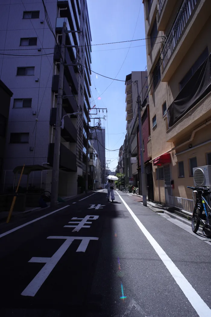 Japon — _MG_5284.JPG