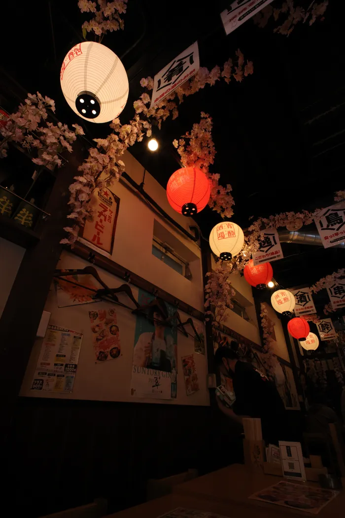 Japon — _MG_5331.JPG