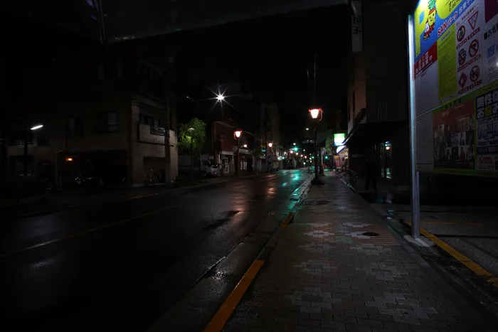 Japon — _MG_5368.JPG