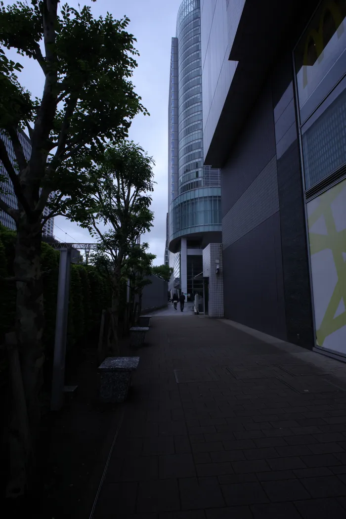 Japon — _MG_5418.JPG