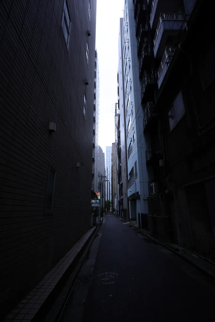 Japon — _MG_5422.JPG