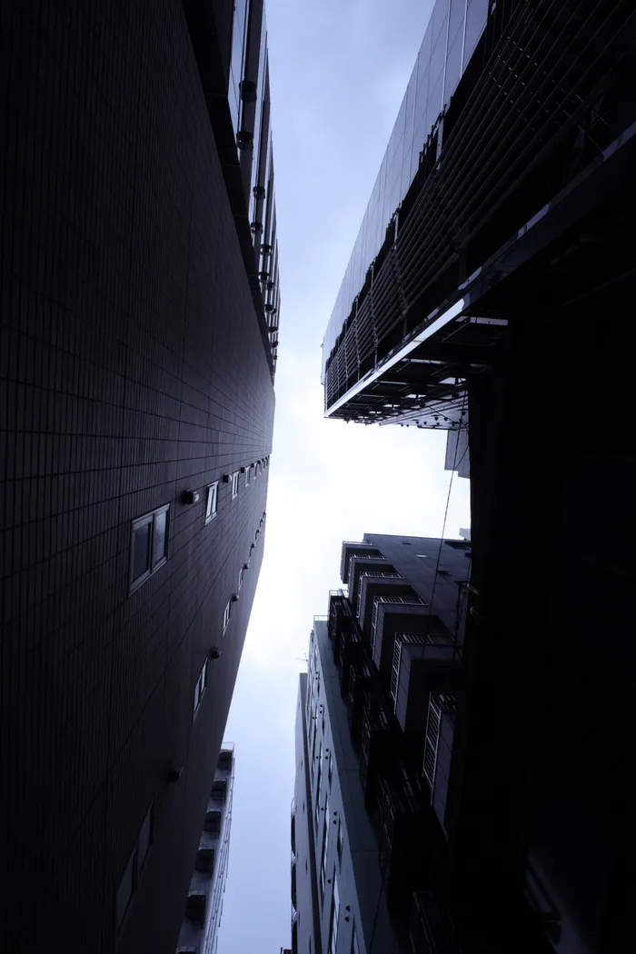 Japon — _MG_5424.JPG