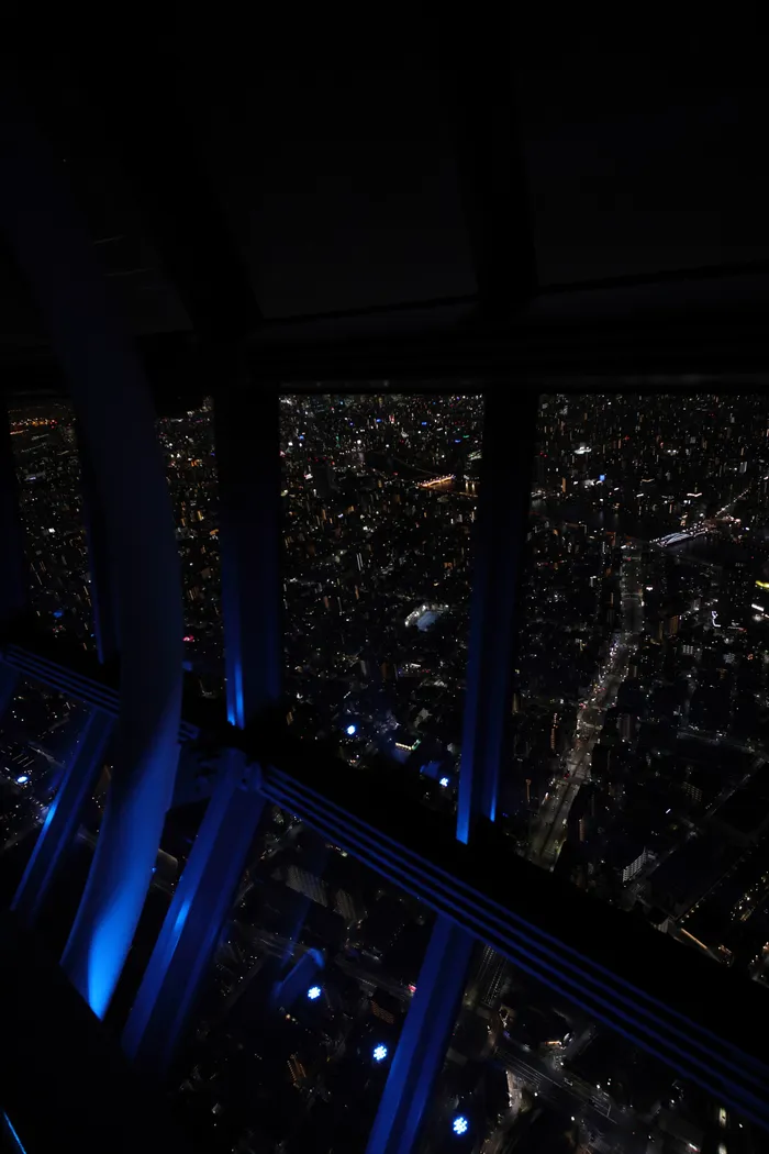 Japon — _MG_5525.JPG