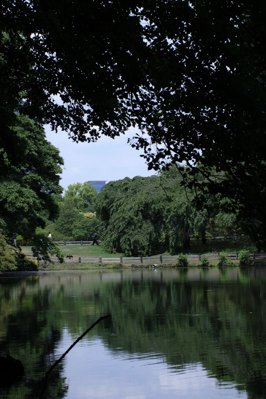 Japon — _MG_5721.JPG