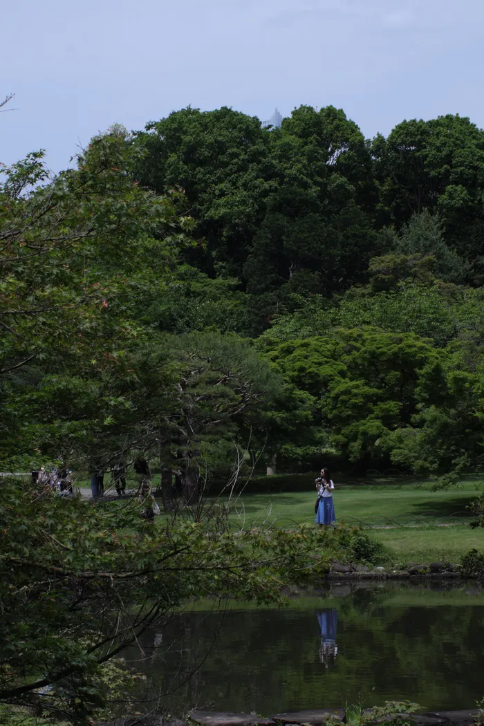 Japon — _MG_5753.JPG