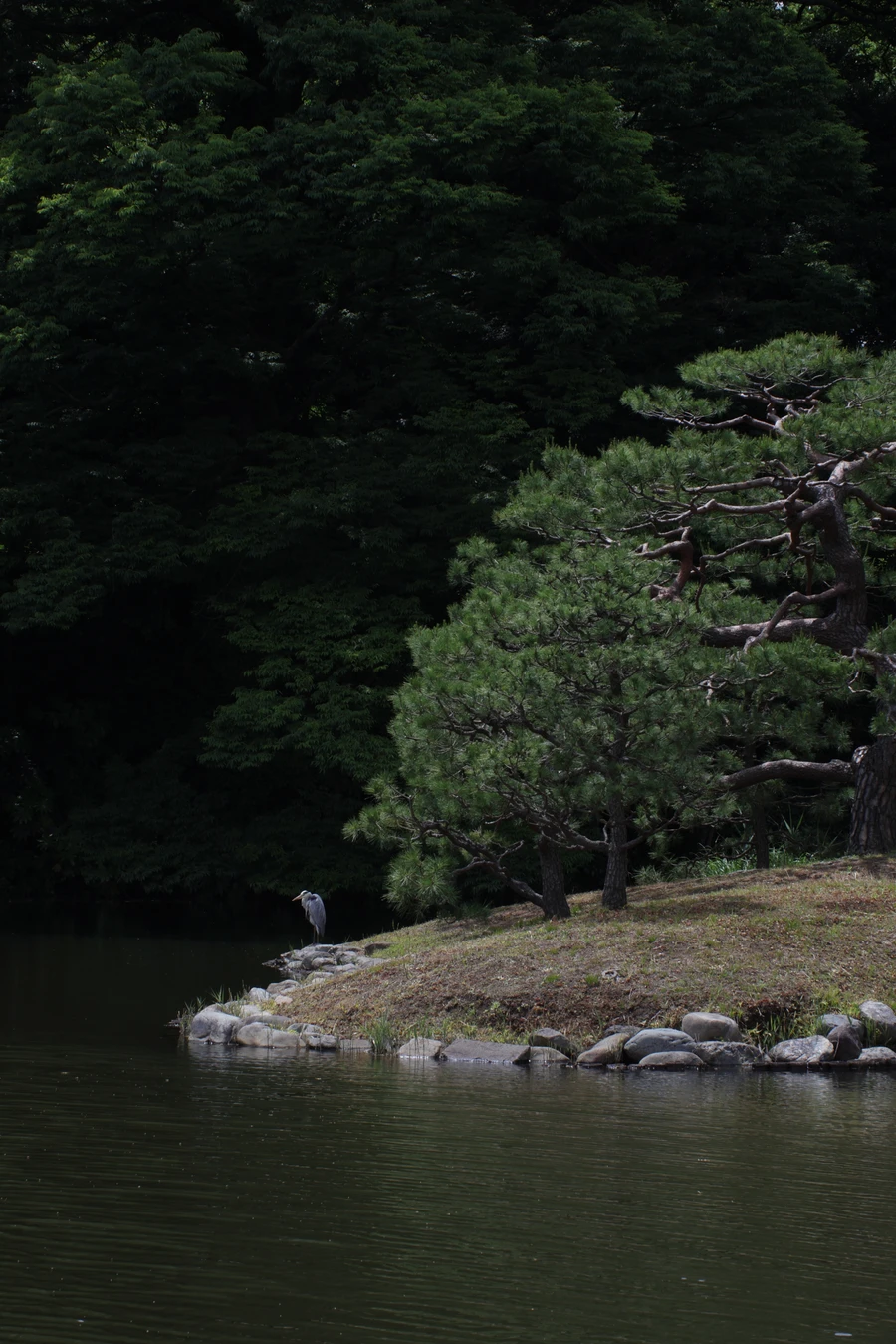 Japon — _MG_5766.JPG