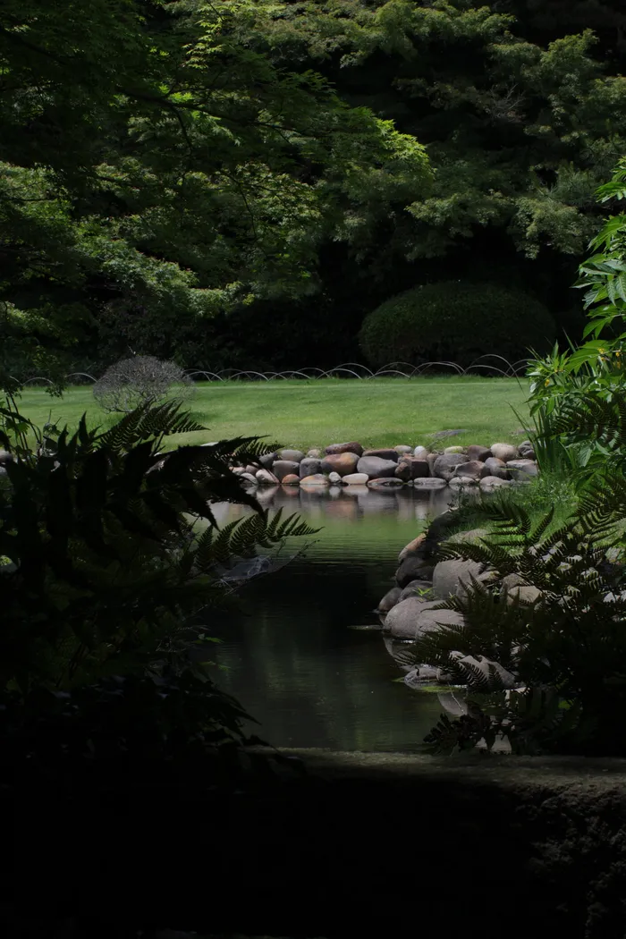 Japon — _MG_5767.JPG