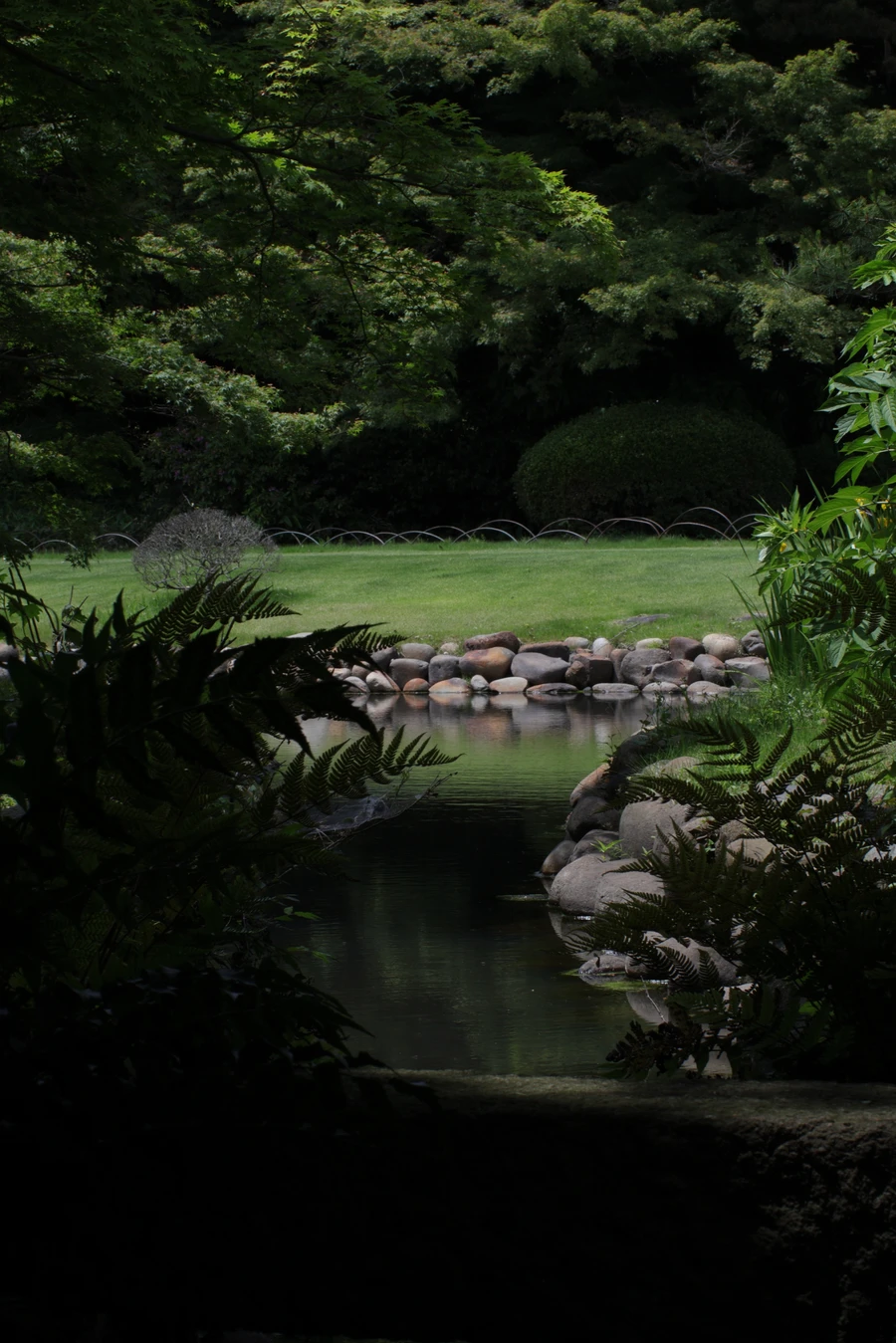 Japon — _MG_5767.JPG