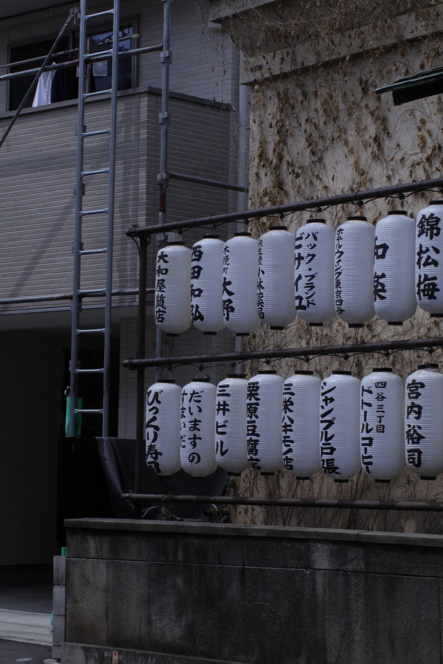 Japon — _MG_5783.JPG