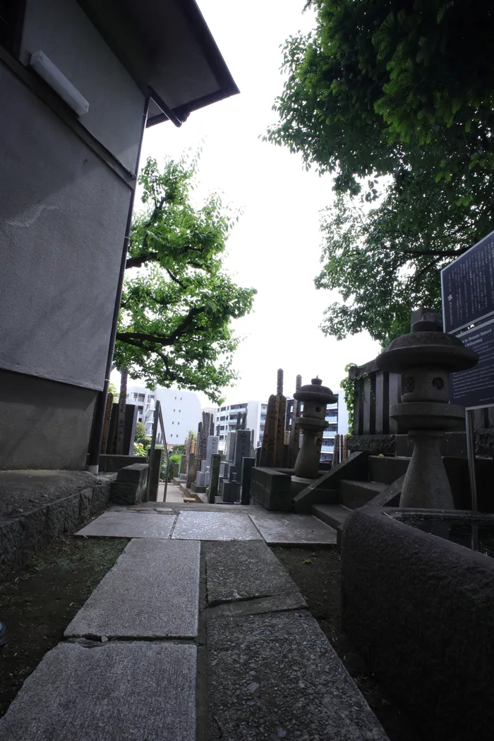 Japon — _MG_5800.JPG