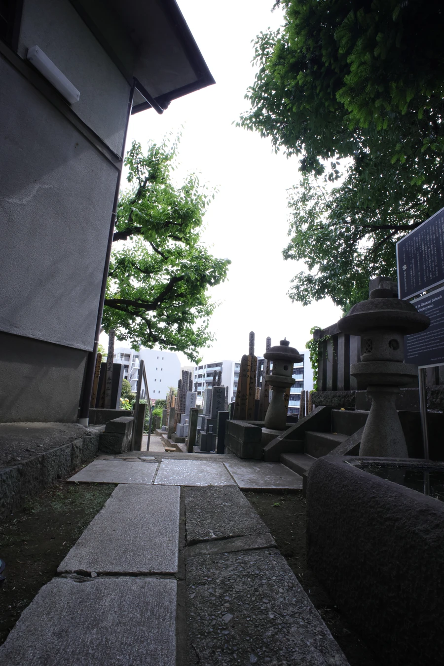 Japon — _MG_5800.JPG