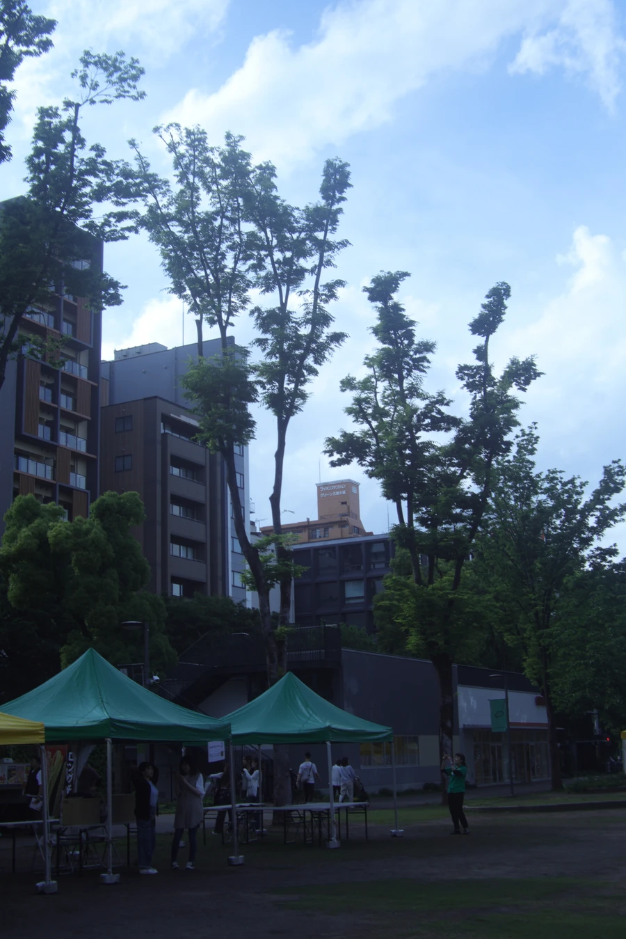 Japon — _MG_5988.JPG