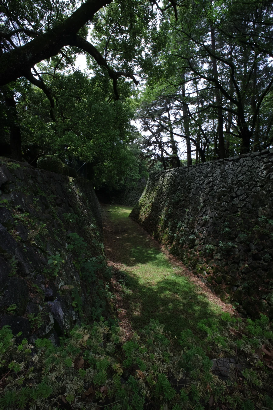 Japon — _MG_6105.JPG