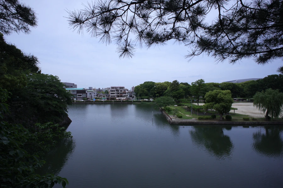 Japon — _MG_6209.JPG