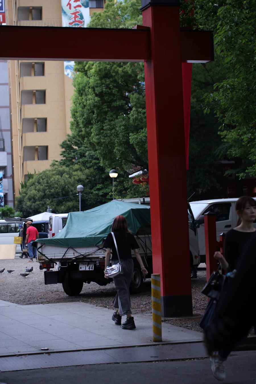 Japon — _MG_6317.JPG