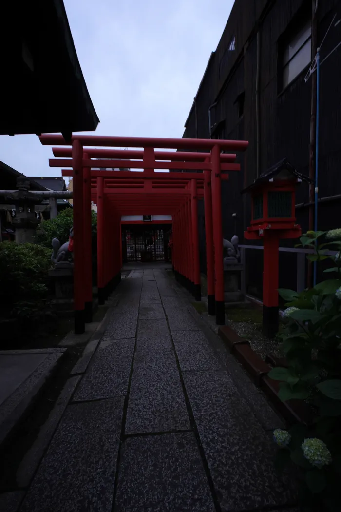Japon — _MG_6350.JPG