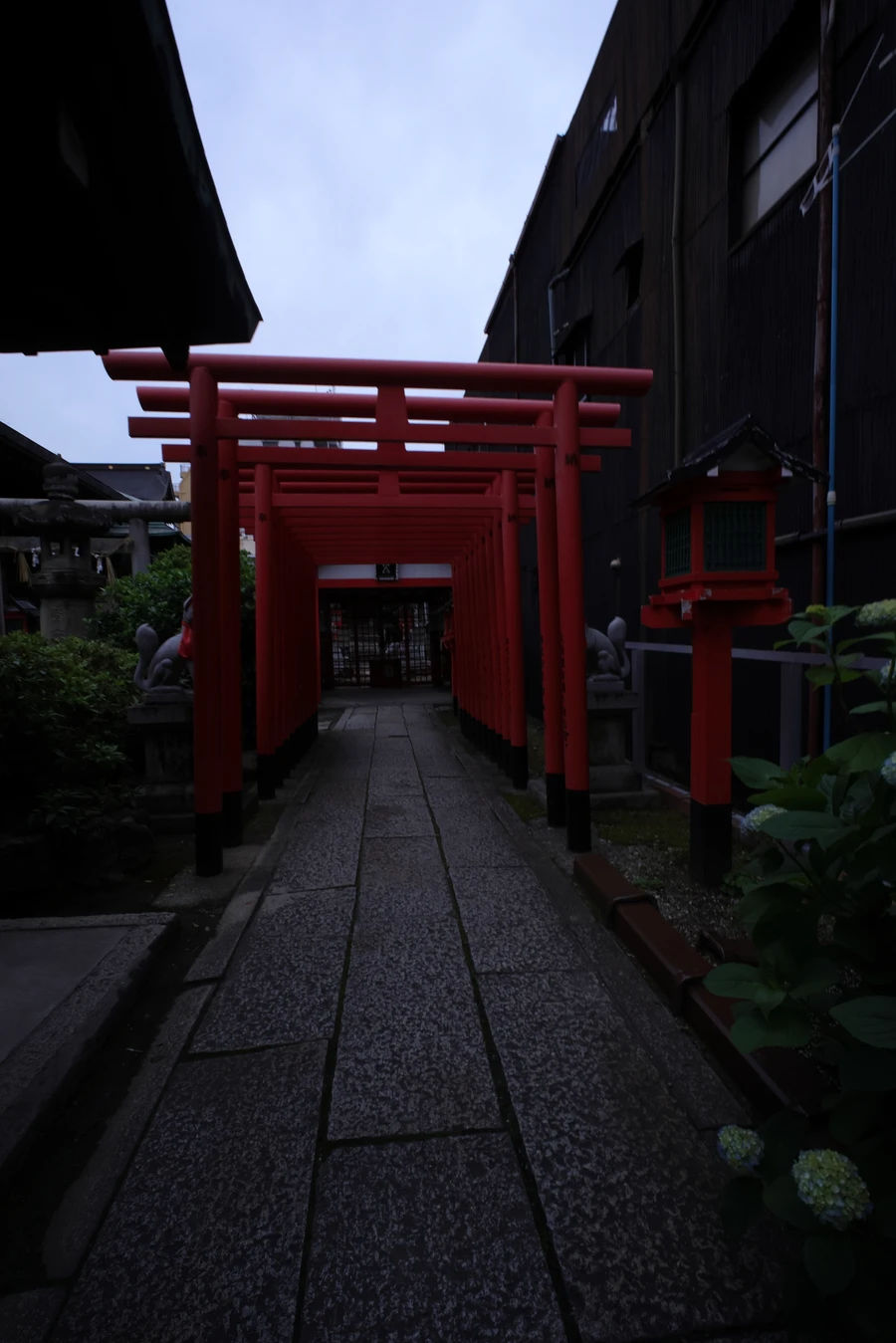 Japon — _MG_6350.JPG