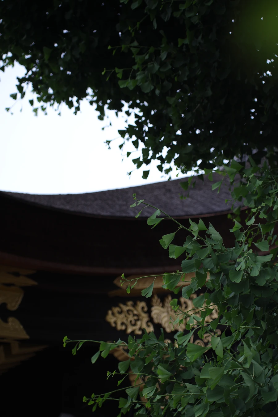 Japon — _MG_6441.JPG