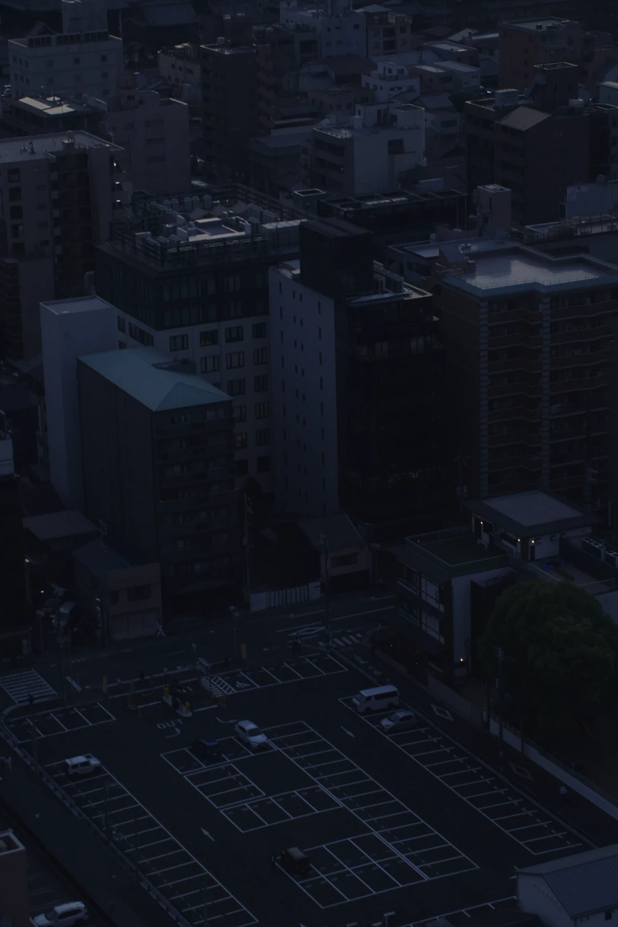 Japon — _MG_6476.JPG