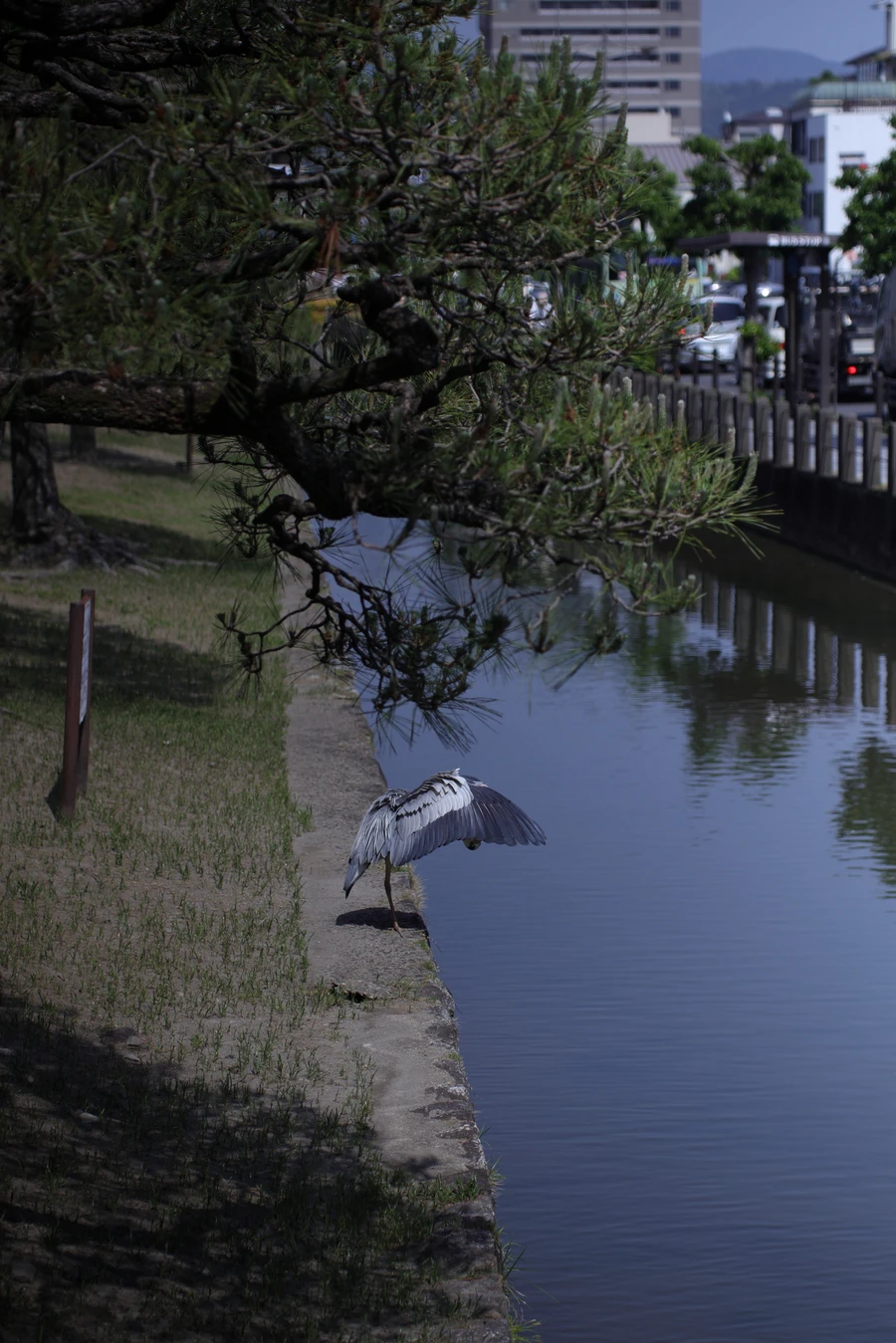 Japon — _MG_6525.JPG