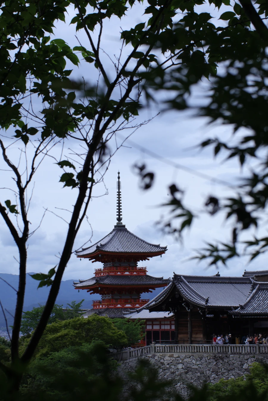 Japon — _MG_6754.JPG