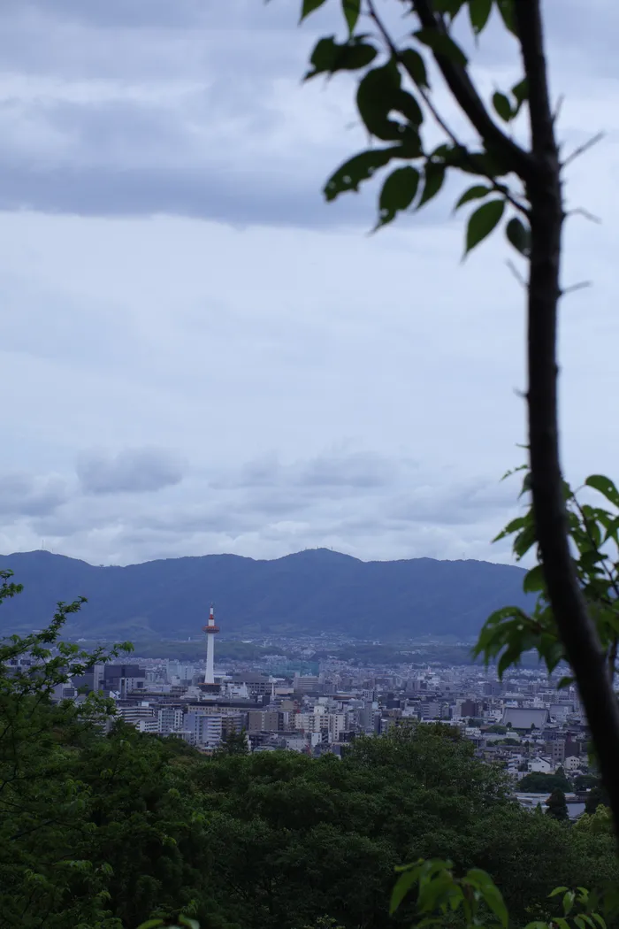 Japon — _MG_6755.JPG