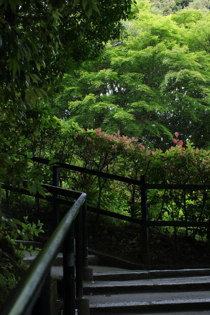 Japon — _MG_6771.JPG