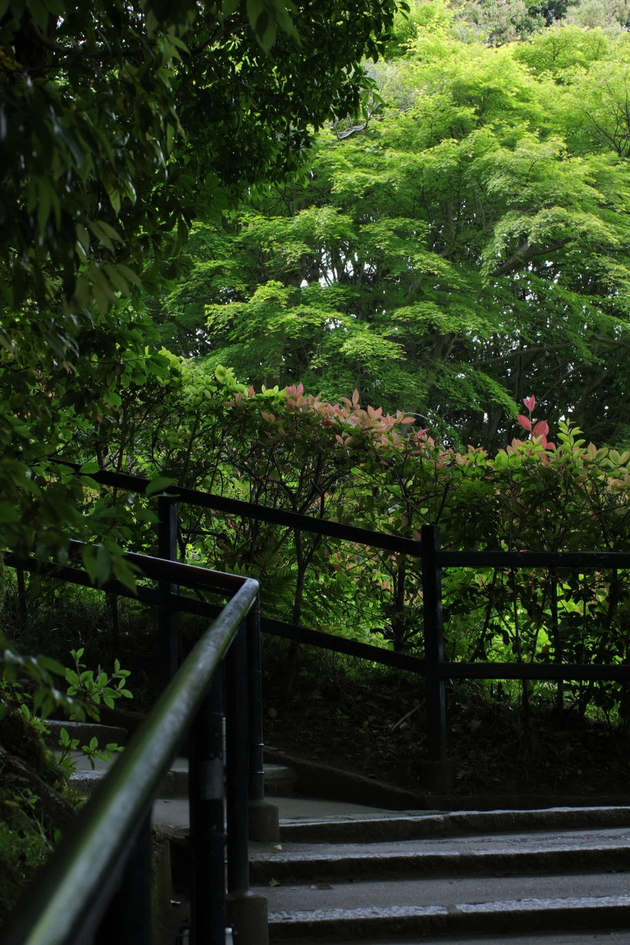 Japon — _MG_6771.JPG