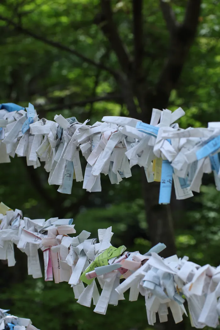 Japon — _MG_6903.JPG