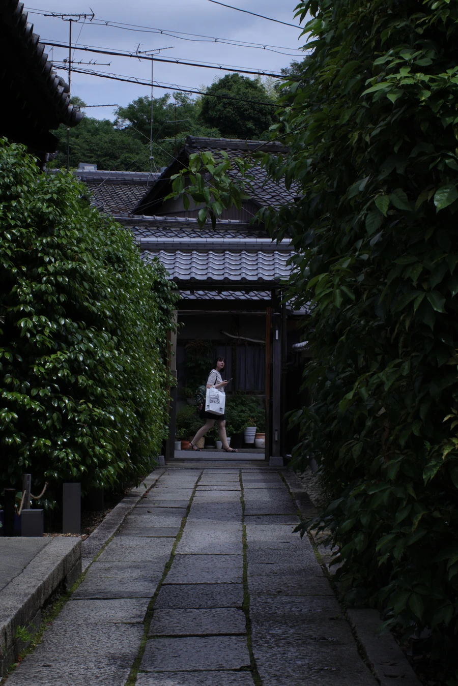 Japon — _MG_6923.JPG