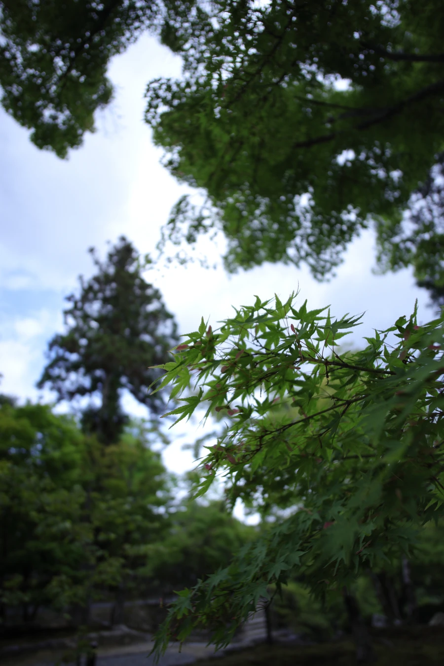 Japon — _MG_7022.JPG