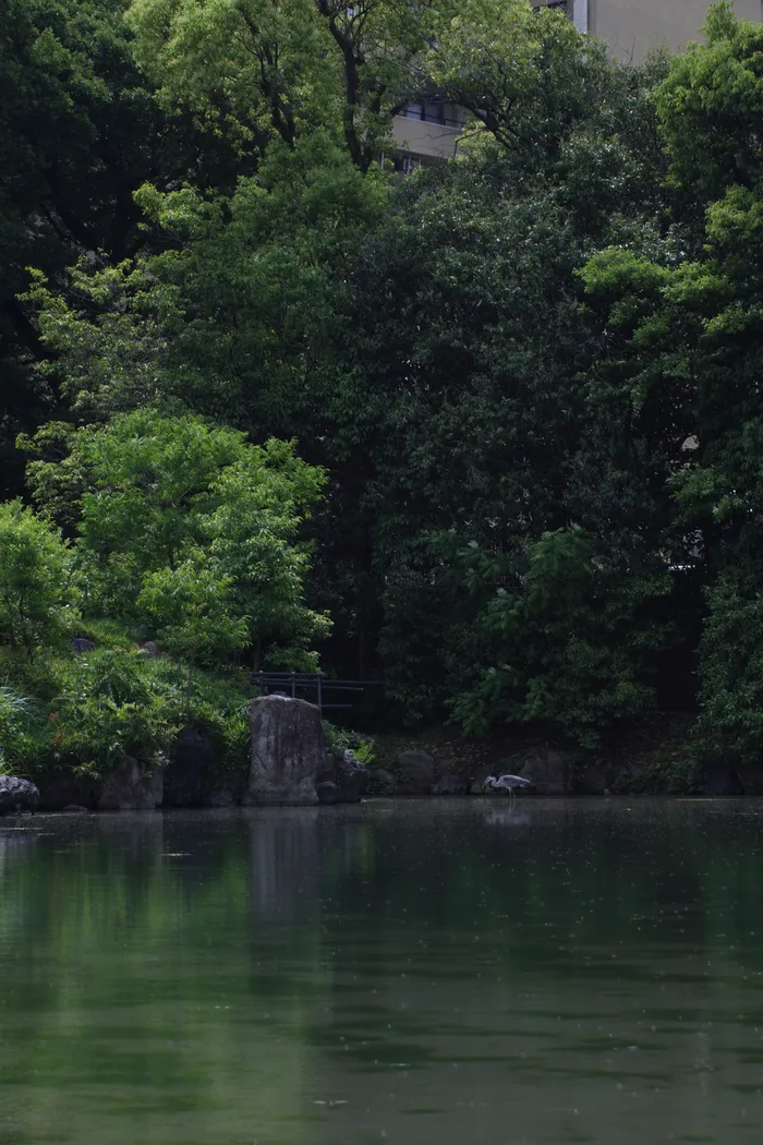 Japon — _MG_7104.JPG