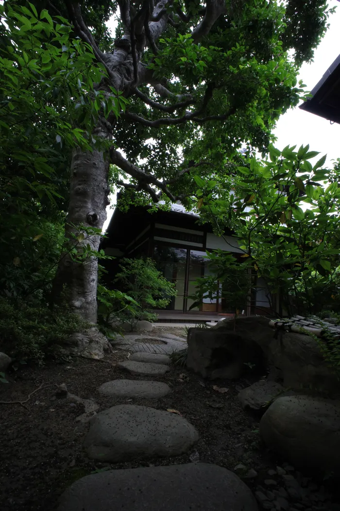 Japon — _MG_7598.JPG