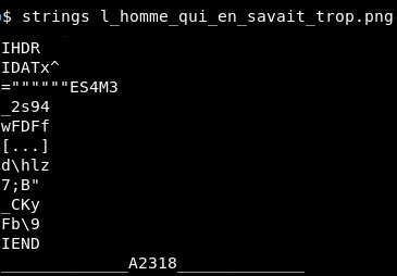 Analyse de l'image avec la commande strings